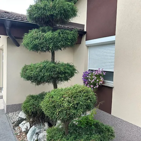 Zemko Bed & Breakfast Vrhole pri Slovenskih Konjicah